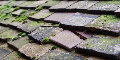 Four Gotes roof repair costs